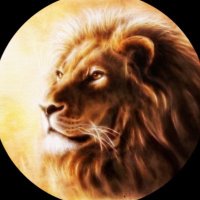 Althea Wolf (@altheawolf82580) 's Twitter Profile