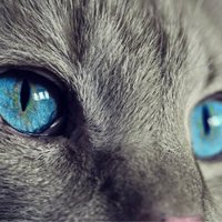 Bożena Piega (@piega_piega) 's Twitter Profile
