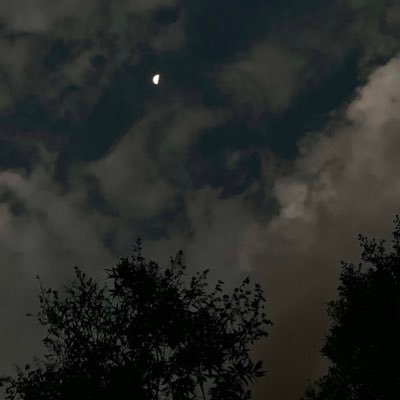 _Qas8m's profile picture. 