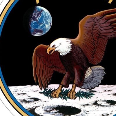 infomorpholog's profile picture. smell flowers and rage against the dying of the light