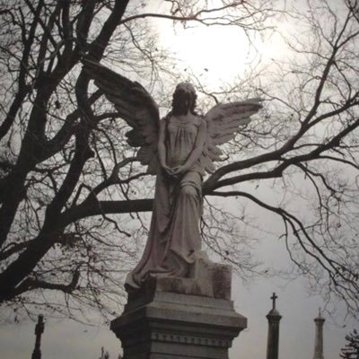 fleizz1337's profile picture. Crypto Enthusiast, Ambassador, Node Operator, NFT Collector