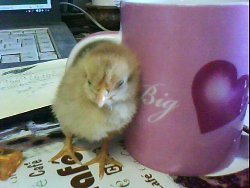 SarahEdg's profile picture. 