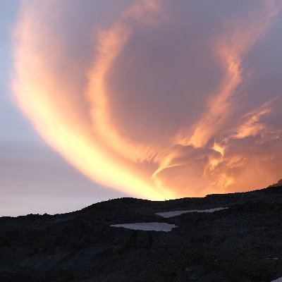 chem_safety's profile picture. just here to follow some friends