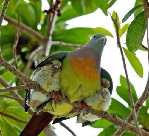 Nader636's profile picture. 