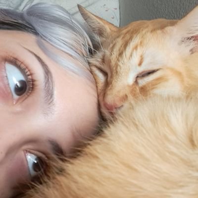 julitadormindo's profile picture. eu só falo de super junior me perdoa