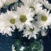 Rosalyn Ruecker (@rosalynrue91703) Twitter profile photo Rosalyn Ruecker (@rosalynrue91703) Twitter profile photo