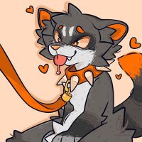 naughty racc (@slyy_raccoon) 's Twitter Profile Photo naughty racc (@slyy_raccoon) 's Twitter Profile Photo