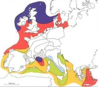 Nekic's profile picture. 