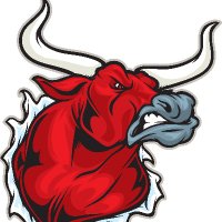The Bullvine (@thebullvine) 's Twitter Profile Photo The Bullvine (@thebullvine) 's Twitter Profile Photo