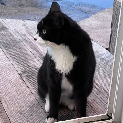 dpdlxlslyun's profile picture. 에이티니🤍