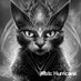 Wbtc Hurricane (@hurriccanewbtt) Twitter profile photo Wbtc Hurricane (@hurriccanewbtt) Twitter profile photo