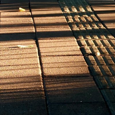 zcandydre's profile picture. say nothing