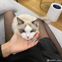 奶斯 (@sp99951) 's Twitter Profile