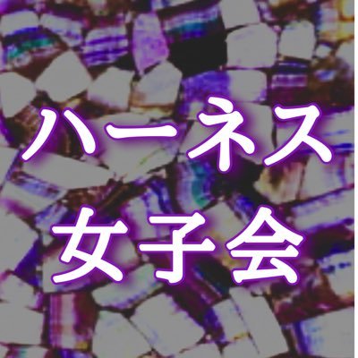 次回👉4月21日(日)ハーネス東京🗼（上野）ハプニングバーで開催している女子会専用アカウントです。それ以外のご連絡お問い合わせは、 お電話👉03-5816-1199 もしくは、 ハーネス東京🗼公式 @HarnesTokyo こちらまで💁‍♀️