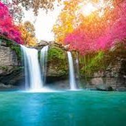 DexterSambrano's profile picture. 