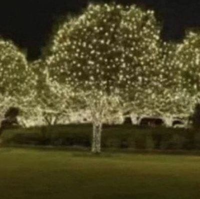 u1wn8kGC4uwk0C1's profile picture. 