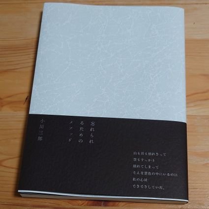 詩人。
既刊詩集「永遠へと続く午後の直中」「流砂による終身刑」「コールドスリープ」「象とＹ字路」「フィラメント」「あかむらさき」「忘れられるためのメソッド」

参加同人誌「repure」「DownBeat」「もーあしび」「ハルハトラム」