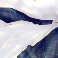 さかき (@_aomo) 's Twitter Profile
