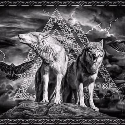 ikewereA1's profile picture. 🇳🇬 🇳🇬🇳🇬