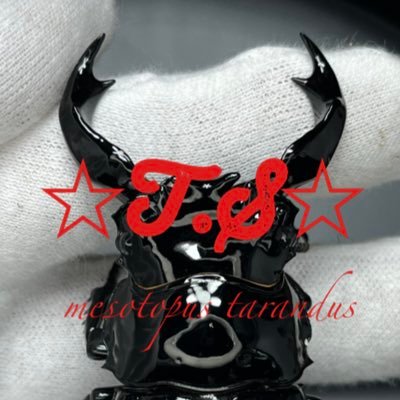TAKAsho24472988's profile picture. タランドゥスメインにブリードしてます☺️内歯２本固定化、超大型個体作出に日々精進中✨2022年度タランドゥス91.2ミリ作出自己レコード更新✨