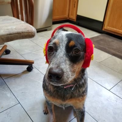 LuellaF34711's profile picture. Building a castle is difficult. Defending and maintaining it is harder still.