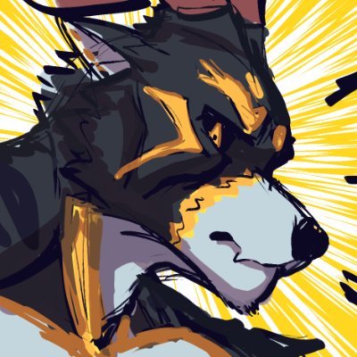 hello everybody !! l'm BlackBill nice to meet you. 🔞NSFW🔞 Furry / Bara💪 / gay🏳️🌈