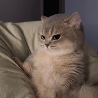 Irma Barrows (@barrowsirm23197) 's Twitter Profile