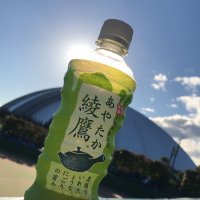 綾鷹″ (@aytk_ms) 's Twitter Profile