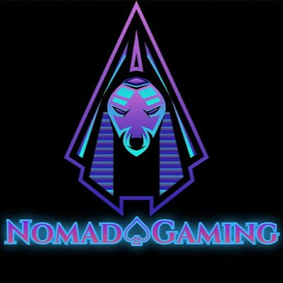 Founder of Nomad Community where gamers and friends alike can come together just have a chat on any game and also ask players and streamers to join them online!