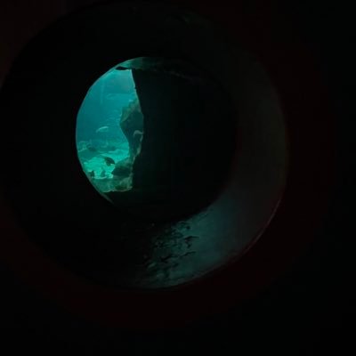 0wwwwn's profile picture. https://t.co/bVZKzZsxhp