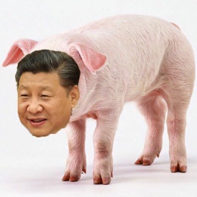 支那豬🐖！支那狗🦮！支那王八支那猴🐒！ 老子就是支那猪！谁TMD敢说老子不是支那猪老子跟谁急！