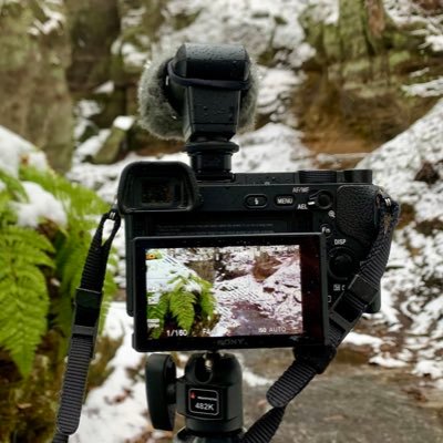 Strategist | Content Producer | Media Recordist