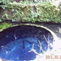 ごっちゃん (@tgotou) 's Twitter Profile