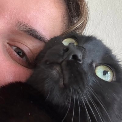 linak717's profile picture. please disregard everything I say