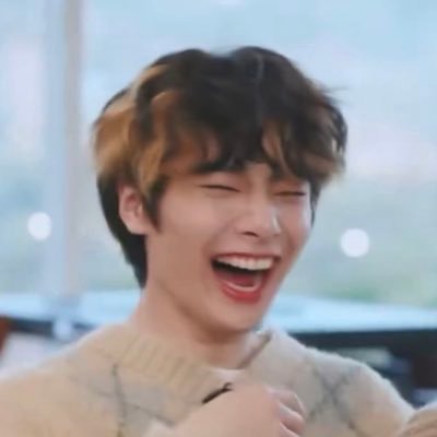 she/her | 24 | skz, svt, atz, and more 🖤 search ‘skztonin’ for a serotonin boost! ☆゚