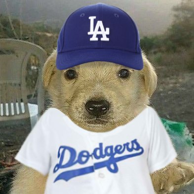 Certified Unofficial Associate for the Los Angeles Dodgers