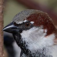 Ayana Wolff (@ayanawolff64754) 's Twitter Profile