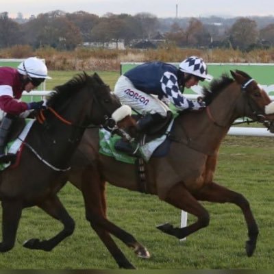 Davidoff986's profile picture. National Hunt Racing, Triathlete, Blackburn fan, Owners Group