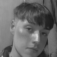 Kevin (@dkevinvi) Twitter profile photo