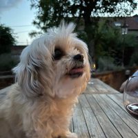 Rene Murray (@murray_ren52837) 's Twitter Profile
