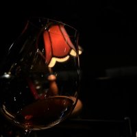 Dive in whisky swamp (@kazu_coffee_12) 's Twitter Profile