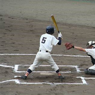 熊本県出身愛犬ショコラ(チワワ)と漫画(進撃の巨人・銀魂etc)と野球とサッカーが大好き サッカーは海外サッカーメイン(イタリア・スペイン)日本酒とワイン全般・中日ドラゴンズ・小山薫堂さん