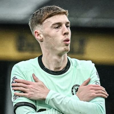 marvellouspalm2's profile picture. blue 💙 is the colour football is the game,crypto and stock investors