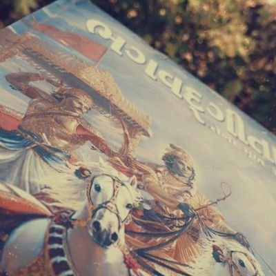 maniac081002's profile picture. 