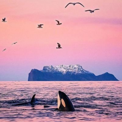 ge_lan67677's profile picture. 