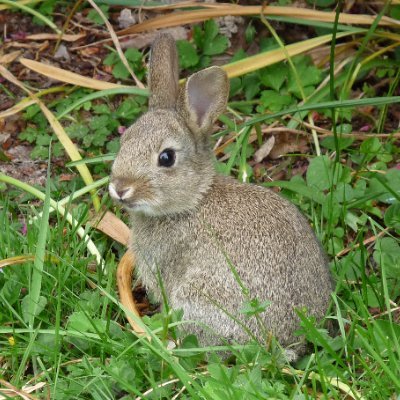 sjb_home's profile picture. 