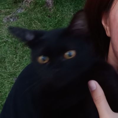 lladidaaaaa's profile picture. I am valued.