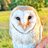 Borg_Owl_Raptor