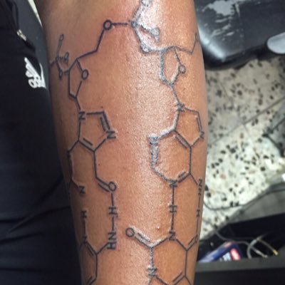 saitfarigebrai's profile picture. 