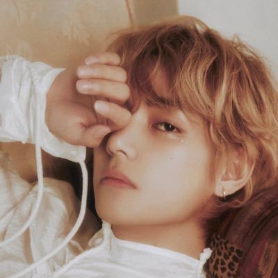 vtetetaehyung Profile Picture